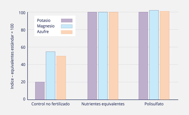COMPARATIVA DE ABSORCIÓN DE NUTRIENTES DE POLISULFATO CON FUENTES ESTÁNDAR DE NUTRIENTES EQUIVALENTES Y PANEL DE CONTROL NO FERTILIZADO