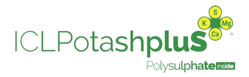 ICL PotashpluS is a new granular fertilizer formulated using a combination of potash and Polysulphate