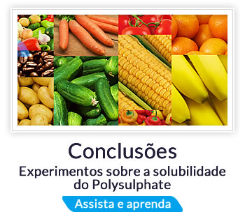 Conclusões: Experimentos sobre a solubilidade do Polysulphate