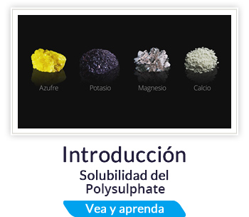 Introducción: Solubilidad del Polisulfato
