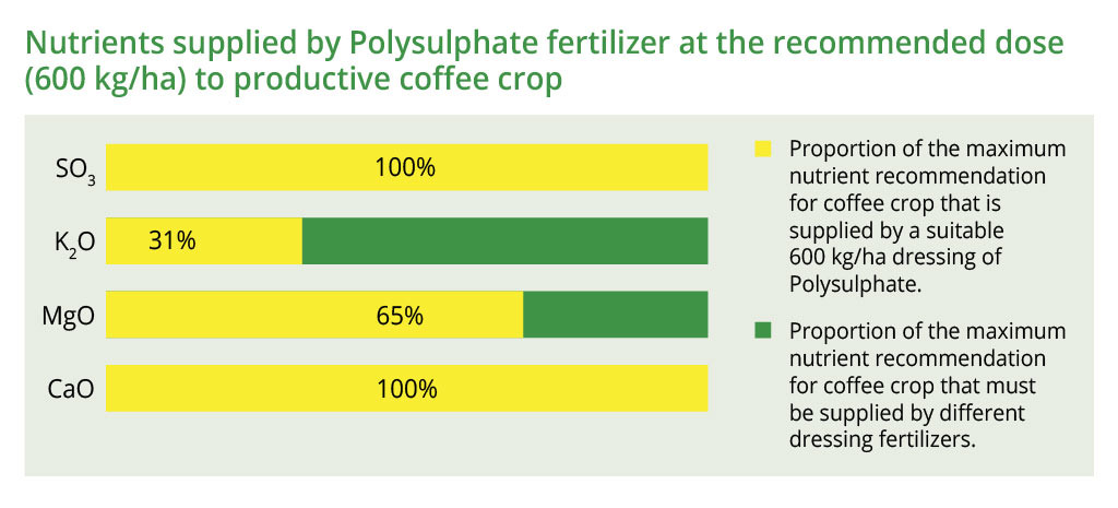 Nutrients supplied by Polysulphate at the recommended dose (600 kg/ha) to coffee crop